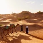 Aventura sin límites: La Reina de las Caravanas te espera para un viaje inolvidable