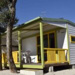 Bungalows en Cantabria: ¡La opción perfecta para vacaciones con perros!