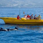 Déjate llevar por la aventura: Alquiler de caravana en La Gomera