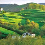 Descubre cómo llegar a Cabanillas del Campo y disfruta de su encanto rural
