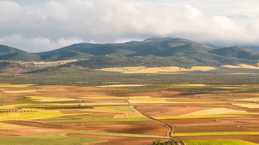 Descubre el alojamiento de ensueño en Cabaneros 1 Descubre el alojamiento de ensueño en Cabaneros