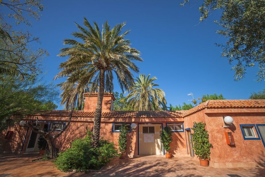 Descubre en Crevillente el encanto del Camping Las Palmeras 1 Descubre en Crevillente el encanto del Camping Las Palmeras