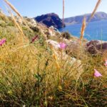 Descubre la magia del camping de Las Negras: un paraíso natural