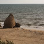 Descubre las caravanas instaladas en Camping Doñana y disfruta de la mejor venta