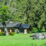 Descubre las encantadoras cabañas del bosque a un precio irresistible.