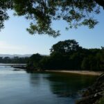 ¡Descubre las encantadoras cabañitas del bosque en Galicia a precio irresistible!