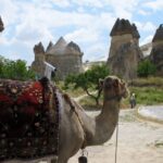 Descubre las fascinantes caravanas en la Ruta de la Seda