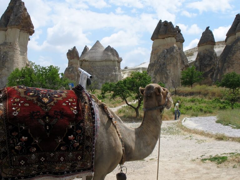 Descubre las fascinantes caravanas en la Ruta de la Seda 1 Descubre las fascinantes caravanas en la Ruta de la Seda