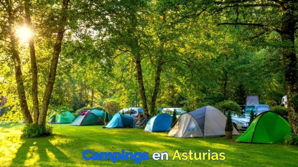 Descubre las increíbles reseñas del camping en Ribadesella, Asturias 1 Descubre las increíbles reseñas del camping en Ribadesella, Asturias
