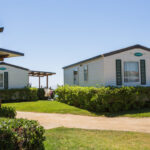 Descubre los campings que admiten perros para unas vacaciones inolvidables
