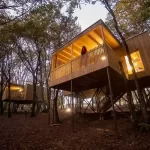 Descubre precios irresistibles en cabañas en los árboles de Galicia