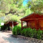 Disfruta de la naturaleza en Valencia con nuestro camping y bungalows