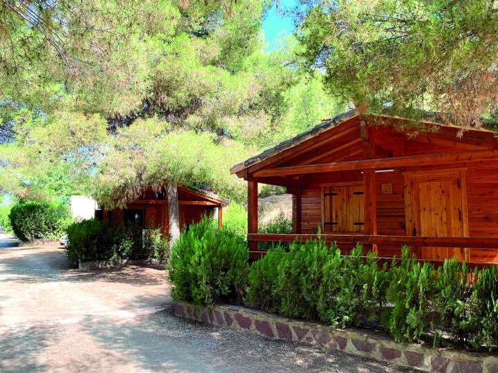 Disfruta de la naturaleza en Valencia con nuestro camping y bungalows 1 Disfruta de la naturaleza en Valencia con nuestro camping y bungalows