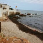 Escápate a la naturaleza en el Camping Los Pinos, Denia
