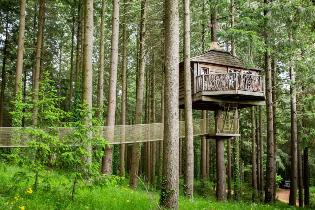 Experiencia inolvidable: Cabanes als Arbres en Girona. 1 Experiencia inolvidable: Cabanes als Arbres en Girona.