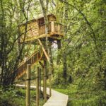 Experiencia única: Cabañas de madera en árboles en Navarra