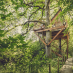 Experiencia única: Cabanas en los árboles en Castilla y León.