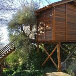 Experiencia única: ¡Cabanas en los árboles en Salamanca!