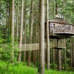 Experiencia única: Cabanes als Arbres en Sant Hilari Sacalm