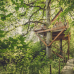 Experiencia única: Descubre las cabañas en los árboles en La Rioja