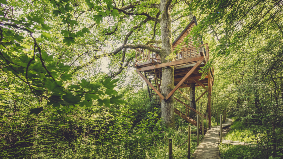 Experiencia única: Descubre las cabañas en los árboles en La Rioja 1 Experiencia única: Descubre las cabañas en los árboles en La Rioja