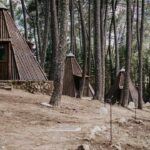Experiencia única en camping: Casitas de madera para desconectar