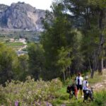 Explora la naturaleza en nuestro encantador camping cerca de Ontinyent