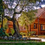 Descubre el encanto de Camping La Fuente en Casas de Ves