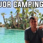 Descubre la naturaleza en Camping La Marjal en Crevillente: ¡una experiencia inolvidable!