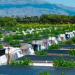 Disfruta de la naturaleza en nuestras parcelas de camping para larga estancia