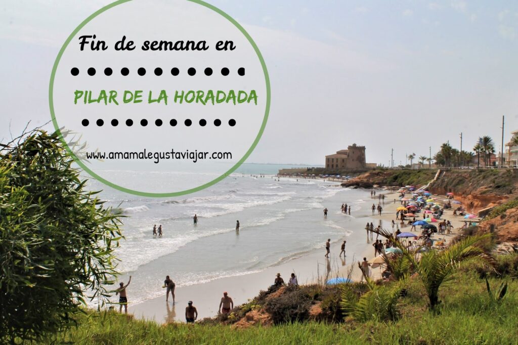 Disfruta del camping Lo Monte a pocos pasos de la playa 1 Disfruta del camping Lo Monte a pocos pasos de la playa