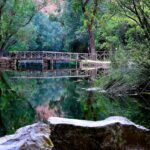 Naturaleza y tranquilidad en el Camping Monasterio de Piedra