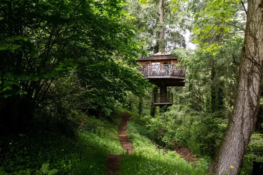 Reserva las mejores cabañas en los árboles en el País Vasco con Booking 1 Reserva las mejores cabañas en los árboles en el País Vasco con Booking