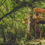 Zuhaitz etxeak: Vive una experiencia única en nuestras cabañas en los árboles